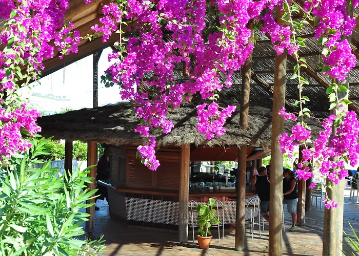 Sbh Monica 4* קוסטה קלמה