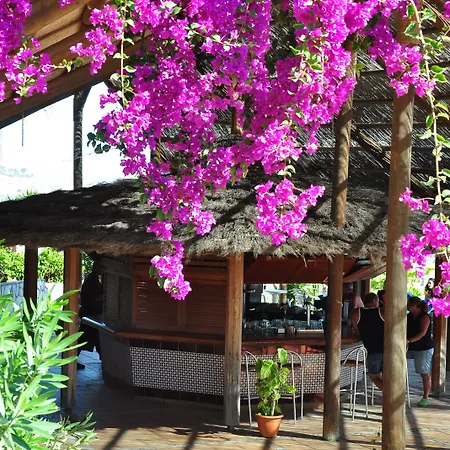 Sbh Monica 4* Κόστα Κάλμα